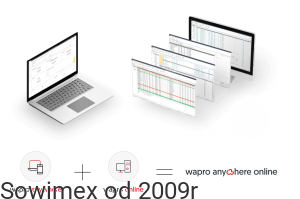 wapro erp w chmurze